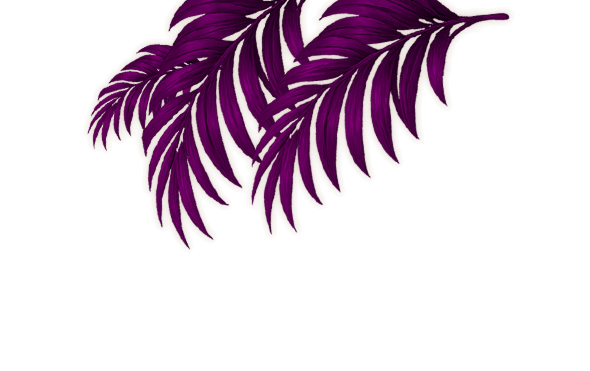 Palm